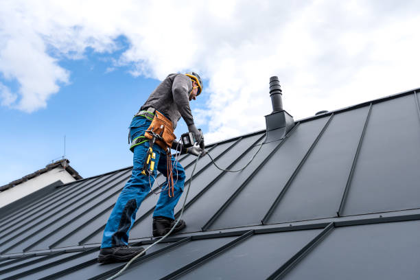 Best Skylight Installation and Repair  in Slocom, AL